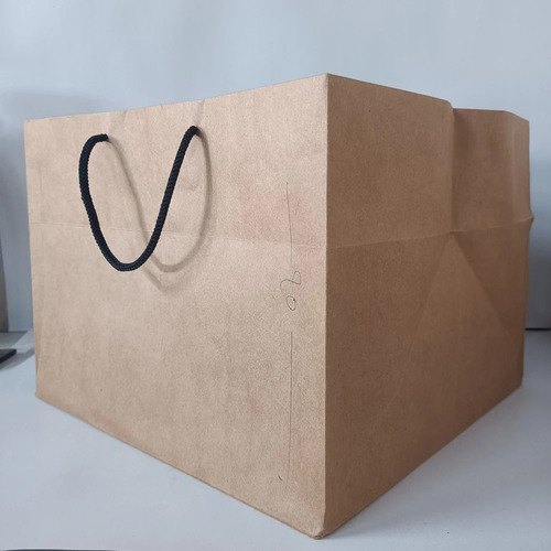 Pizza Paper Carry Bags