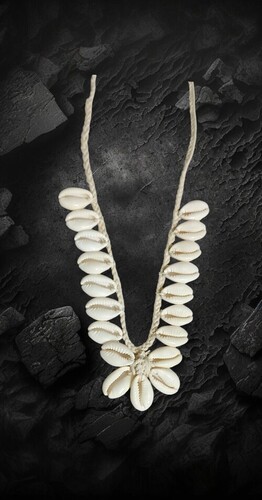 Sea Shell Necklace