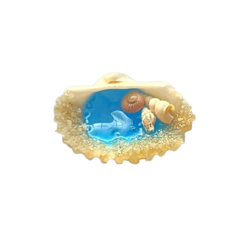 Seashell Fridge Magnet Handicraft - Color: Multicolor