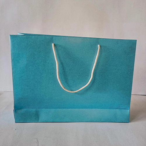 Sky Blue Paper Shopping Bag