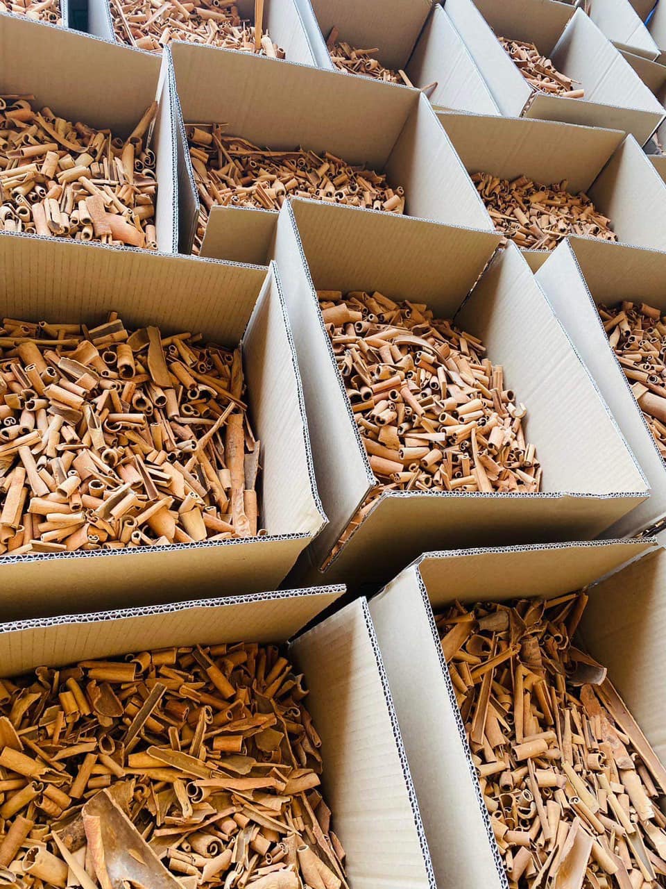 Madagascar Broken Cinnamon - Color: Brown