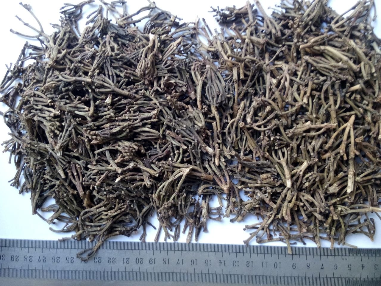 Madagascar Clove Stem 