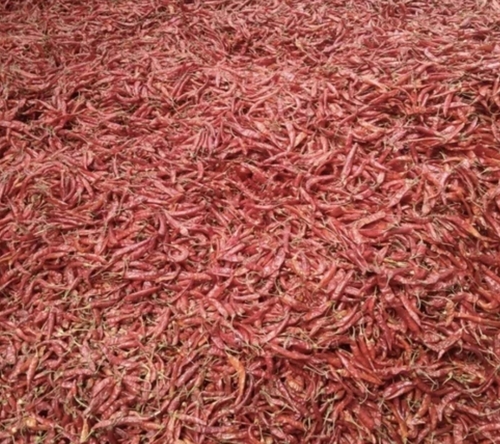 लाल मिर्च