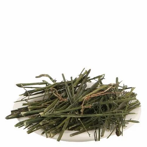 Andrographis Paniculata Extract