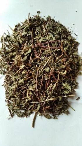 Dried Mint Leaves