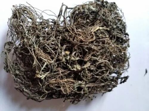Dried Tulsi Leaves