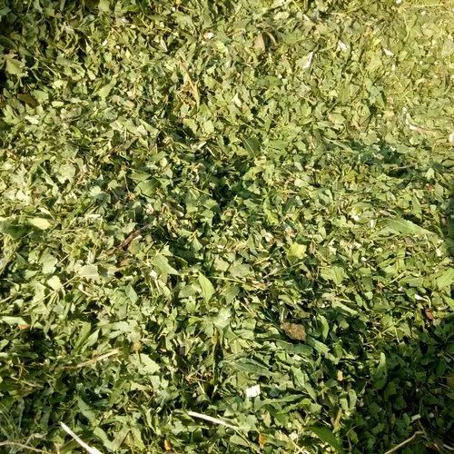 Dry Neem Leaf Crush