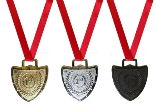 School Competition Medal - Bronze, 65mm, Various Colors, Casting | Bee-Inspired Design, Durable Finish, Rust Resistant, Custom Engraving