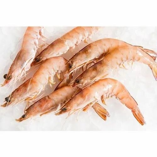 Prawn