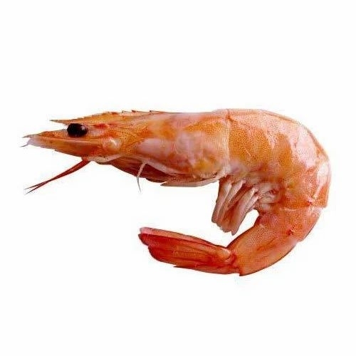 Prawn Fish