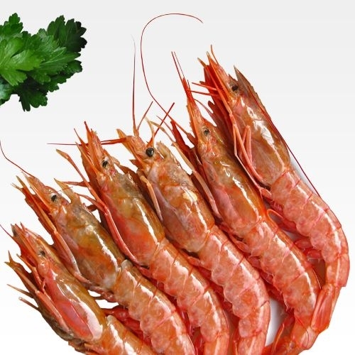 Prawns Fish
