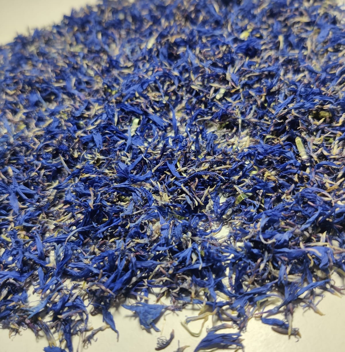 Blue Corn Flower Petals - Breed: Indian