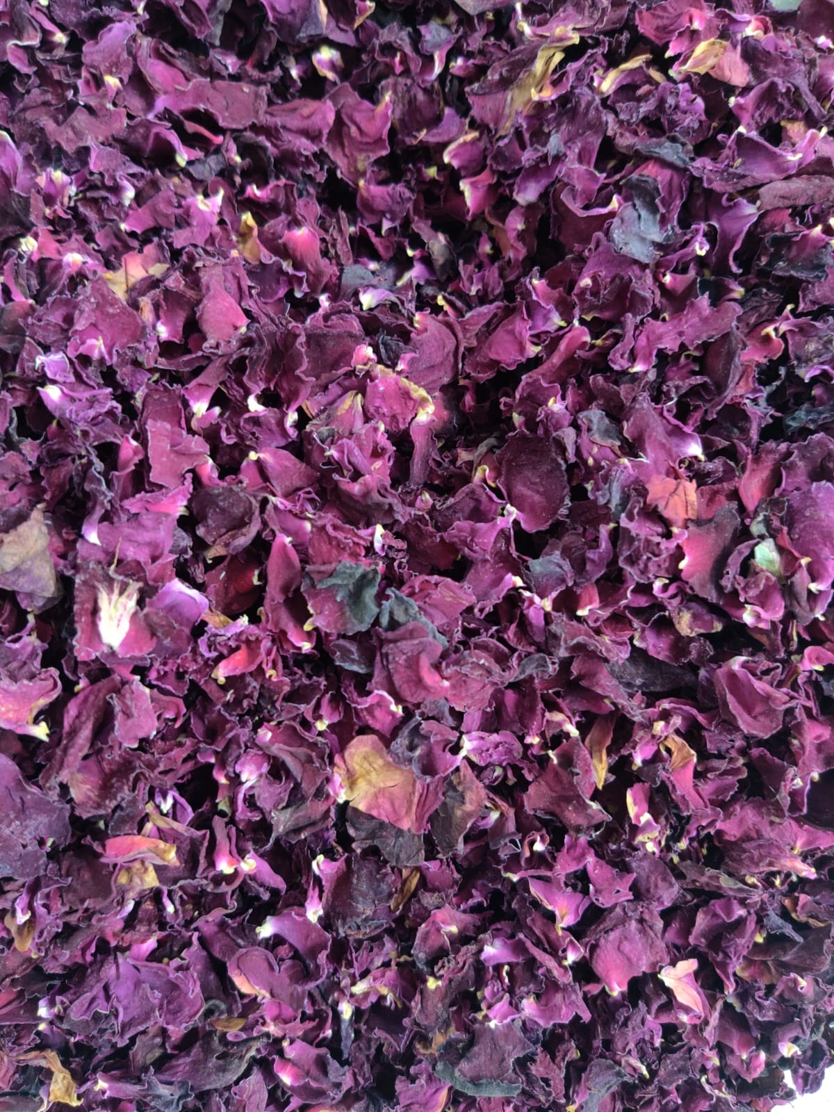 Dried Rose Petals - Breed: Indian