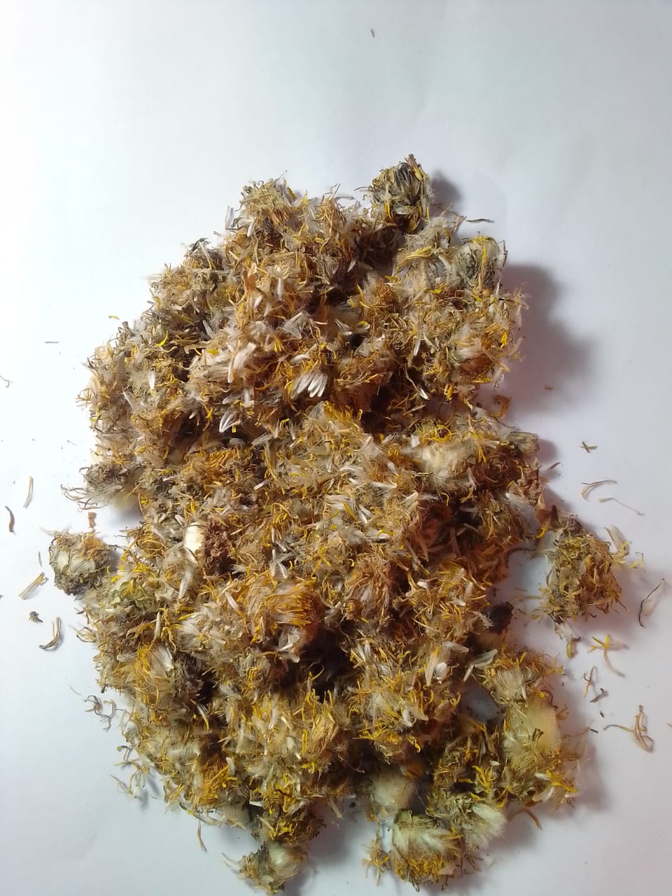 Dried Dandelion Flowers