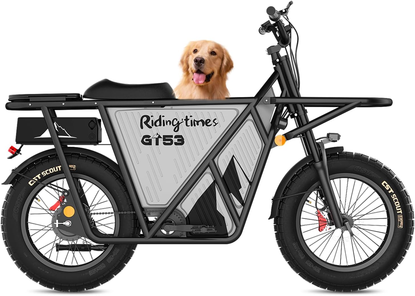 Riding Times GT53 Electric Cargo Bike For Adults 550LBS