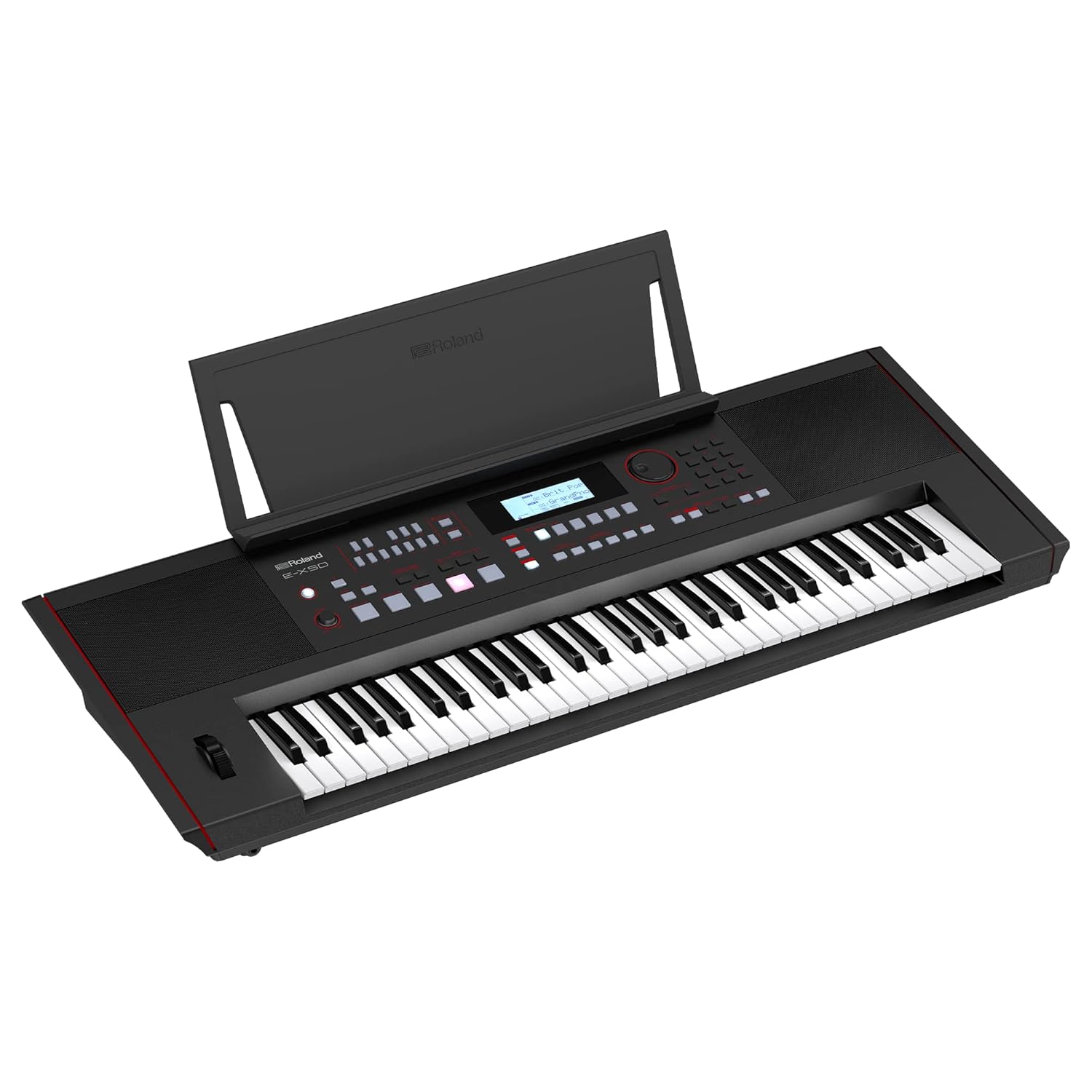 Roland E-X50 Electronic Arranger Keyboard - Application: Professional Singing
