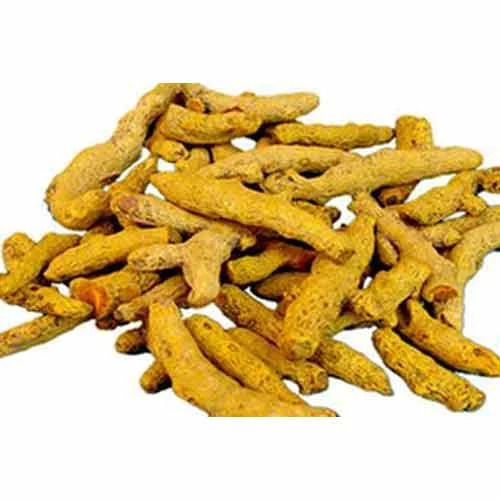 Turmeric Roots