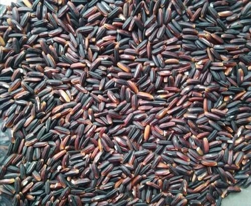 Black Aromatic Rice