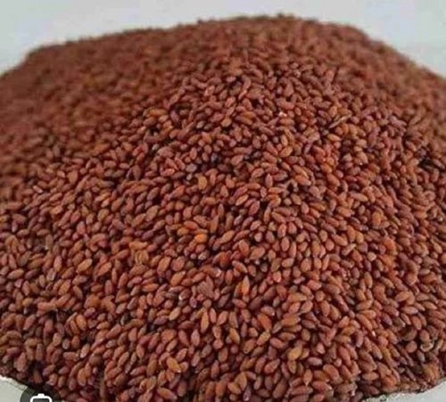 Brown Sesame Seed