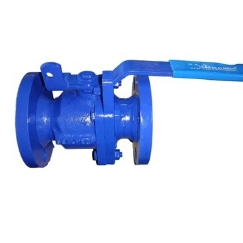 Check Valve