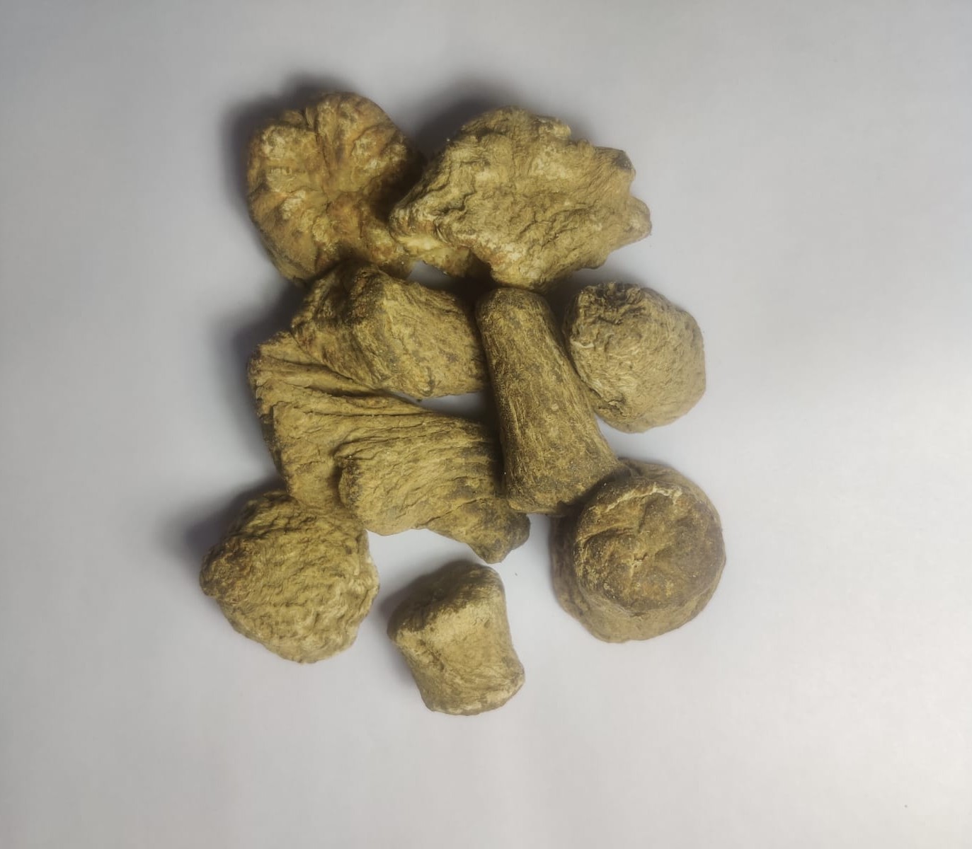 Dried Chikory Herbal Roots - Color: Natural Brown To Light Beige