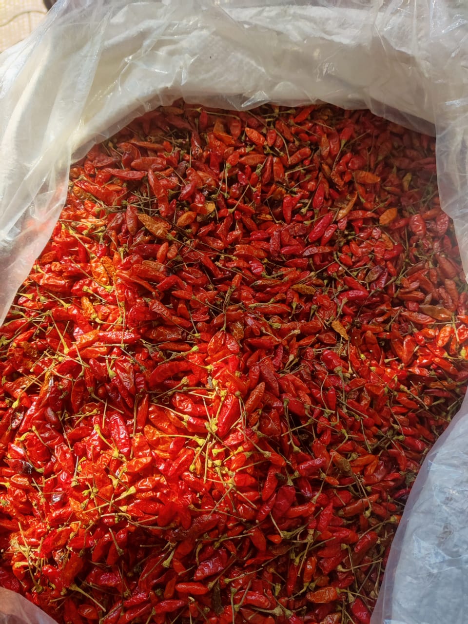 Dry Red Chilli