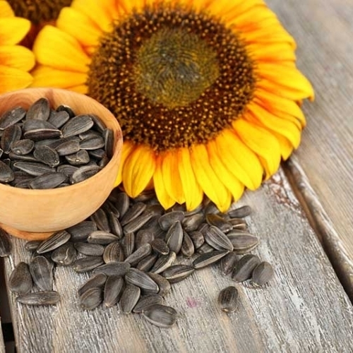 Flower Seed
