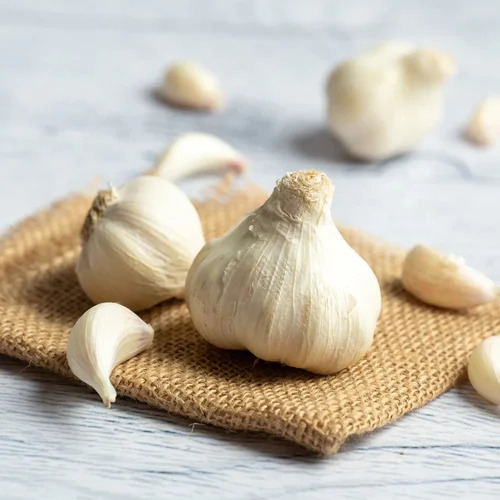 Fresh Garlic - Moisture (%): .