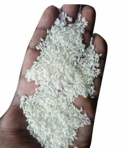 Gobindobhog Raw Rice - Short Grain White Dried | Buttery Flavor Soft Fluffy Texture Quick Cooking