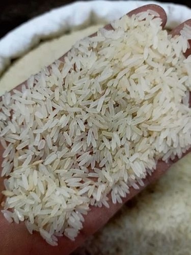 Super White Shamoli Rice