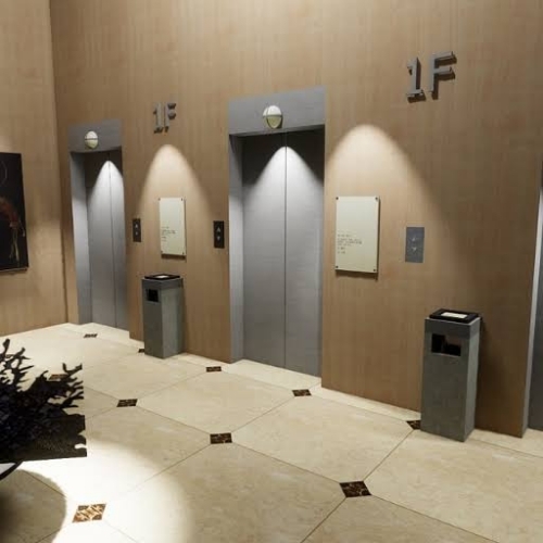 Mall Elevators - Stainless Steel, Electric Powered, Passenger Elevators | Safety Sensor, Ideal for Apartment and Building Use