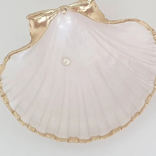 Sea Shells 