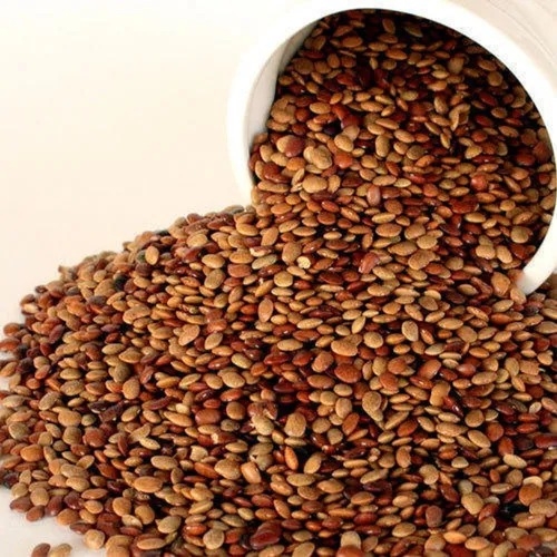 Brown Horse Gram