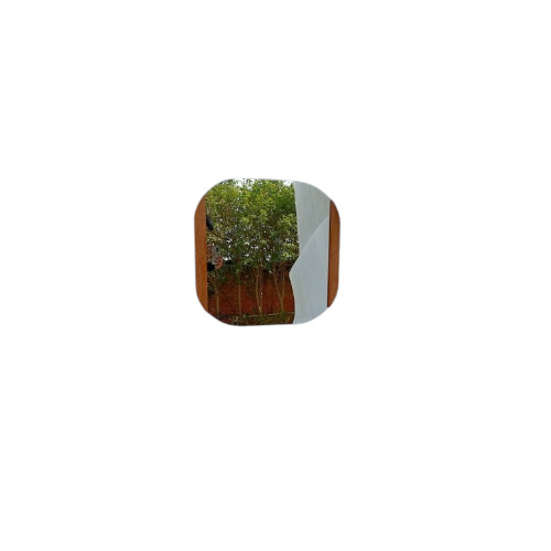 Square Wall Mounted Mirror