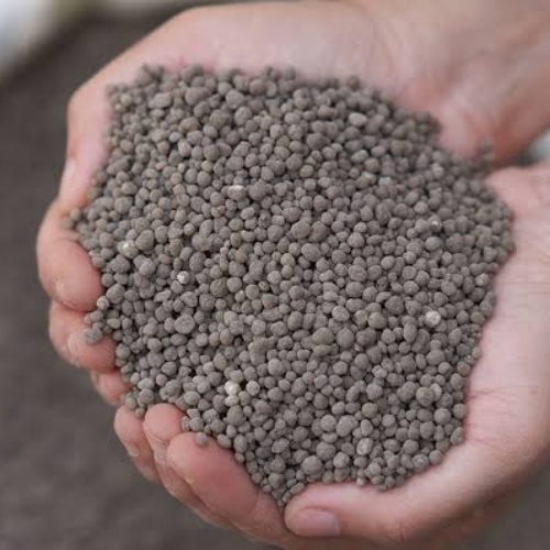 A Grade Dap Fertilizer