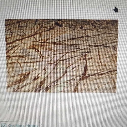 Rainforest brown marble