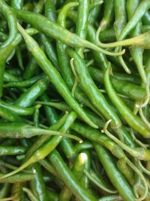Fresh Green Chillies - Raw Medium Size Long and Slender Vibrant Green Color | Fresh and Crisp Rich in Natural Spiciness Ideal for Curries Chutneys and Sauces