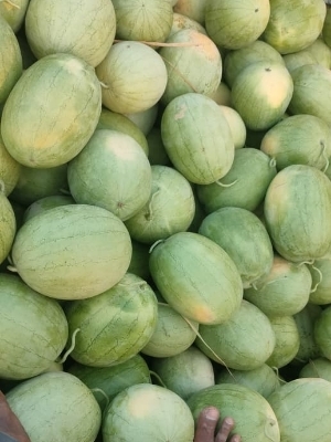 Fresh Watermelon