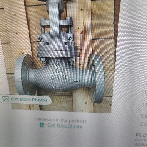 Cast steel globe valve 
