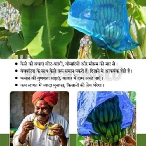 Fruit Cover