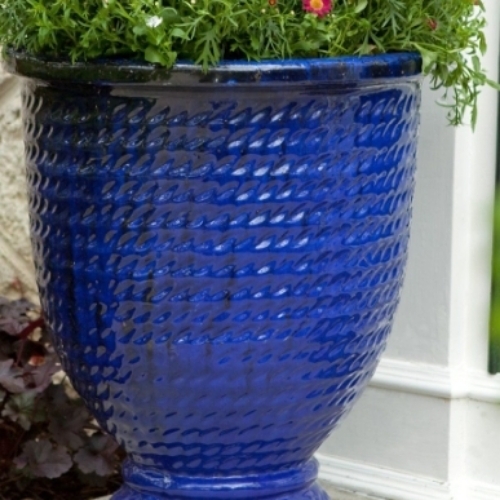Blue Pot