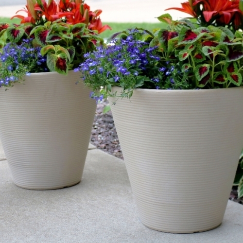 White Pot