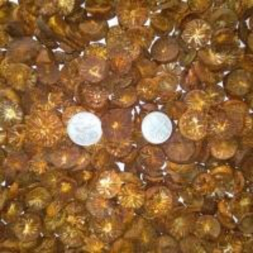 Betel Nuts/Areca Nut Sliced Coins