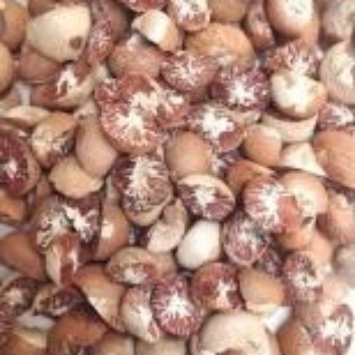 Betel Nuts/Areca Nuts Split