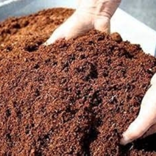 Coco Peat