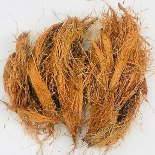 Coconut Husk