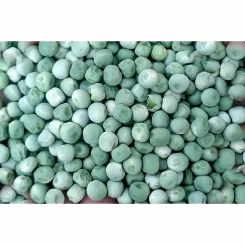 Green Peas Seeds