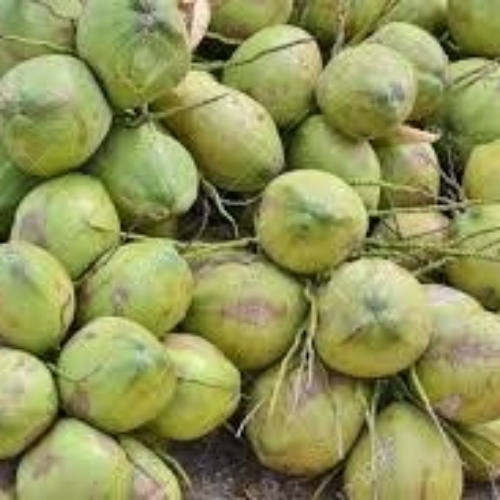 Raw Coconut