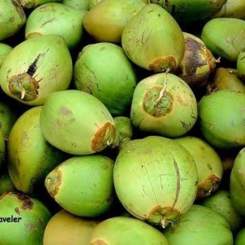 Tender Coconut