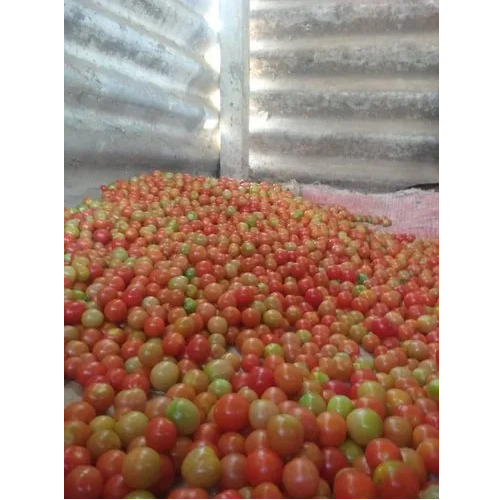 Fresh Cherry Tomato